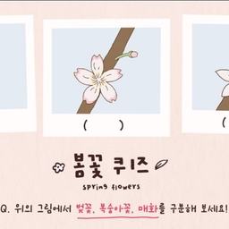 피드에 업로드 된 이미지