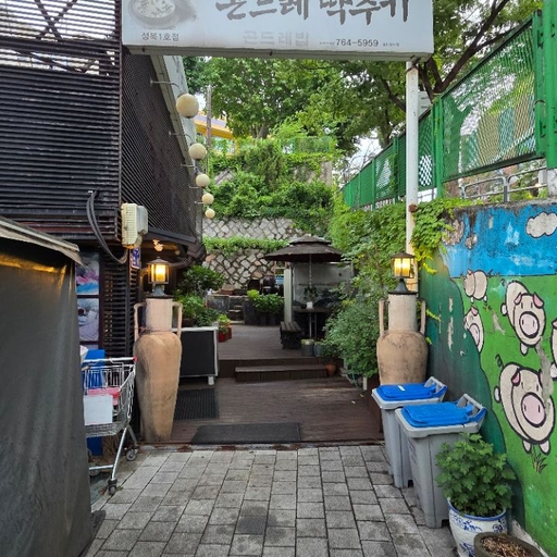 피드 이미지