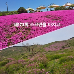 피드에 업로드 된 이미지