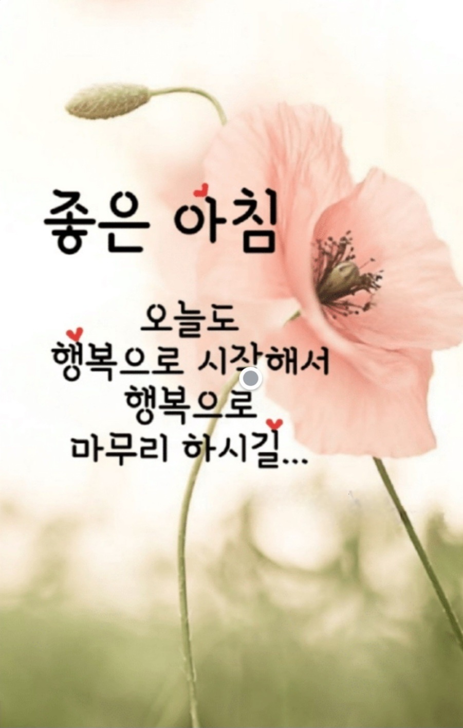 피드에 업로드 된 이미지