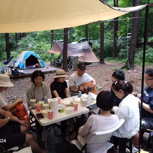 피드 이미지