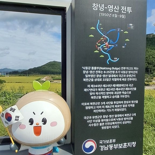 피드 이미지