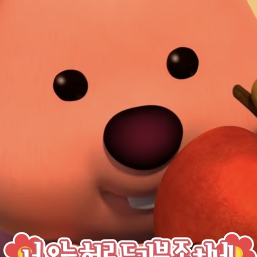 피드 이미지