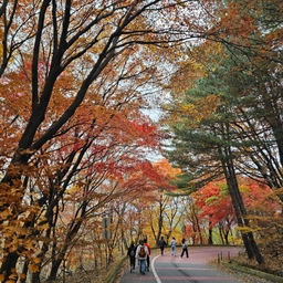 피드에 업로드 된 이미지