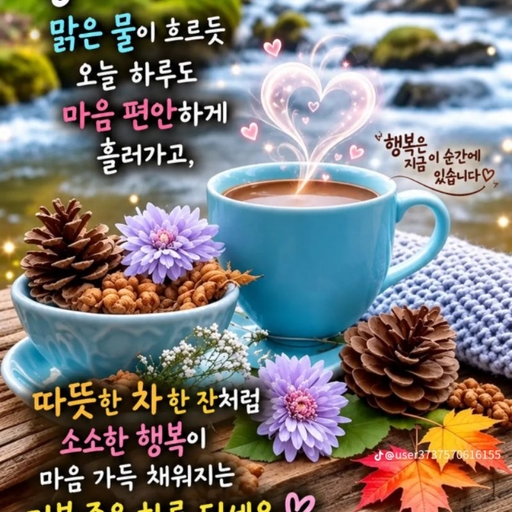 피드 이미지