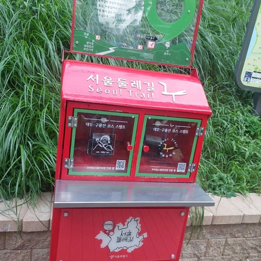 피드 이미지