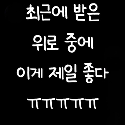 피드에 업로드 된 이미지
