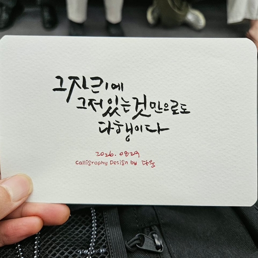 피드 이미지