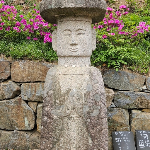 피드 이미지