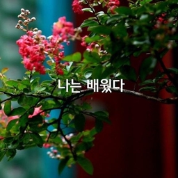 피드에 업로드 된 이미지