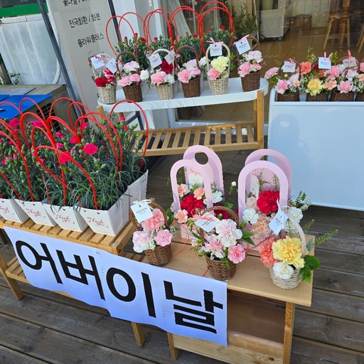 피드 이미지