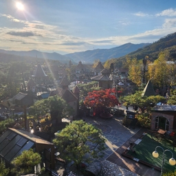 피드에 업로드 된 이미지