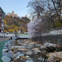 피드에 업로드 된 이미지