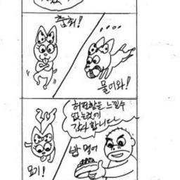 피드에 업로드 된 이미지