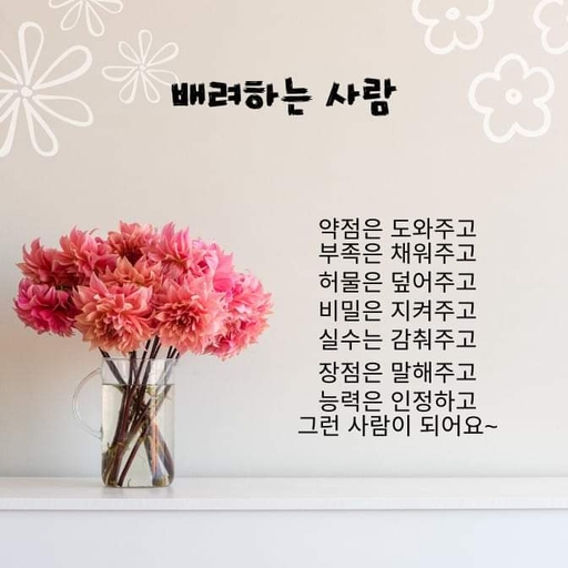 피드 이미지