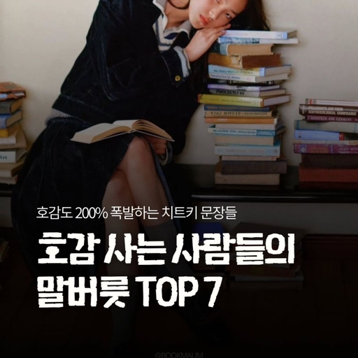 피드 이미지