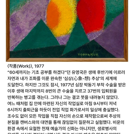 피드 이미지