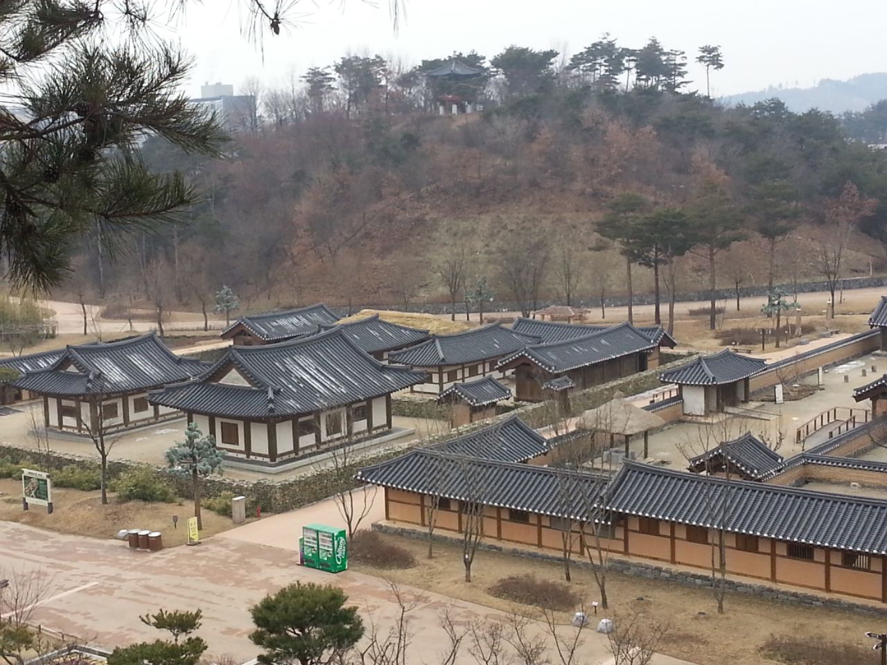 피드 이미지