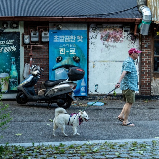 피드 이미지