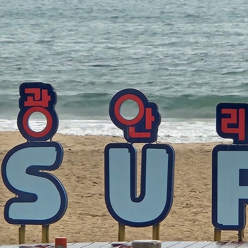 피드 이미지