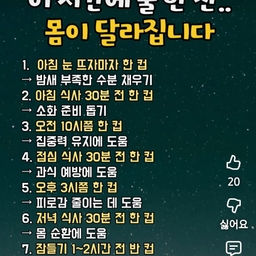 피드에 업로드 된 이미지