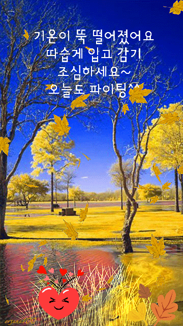 피드 이미지