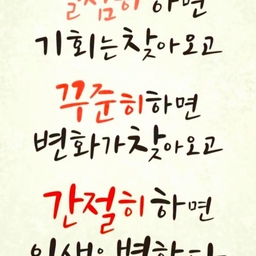 피드에 업로드 된 이미지