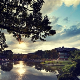 피드에 업로드 된 이미지