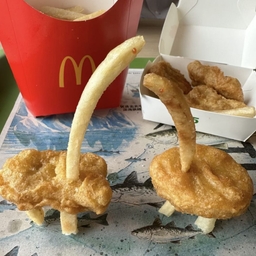 피드에 업로드 된 이미지