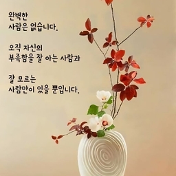 피드에 업로드 된 이미지