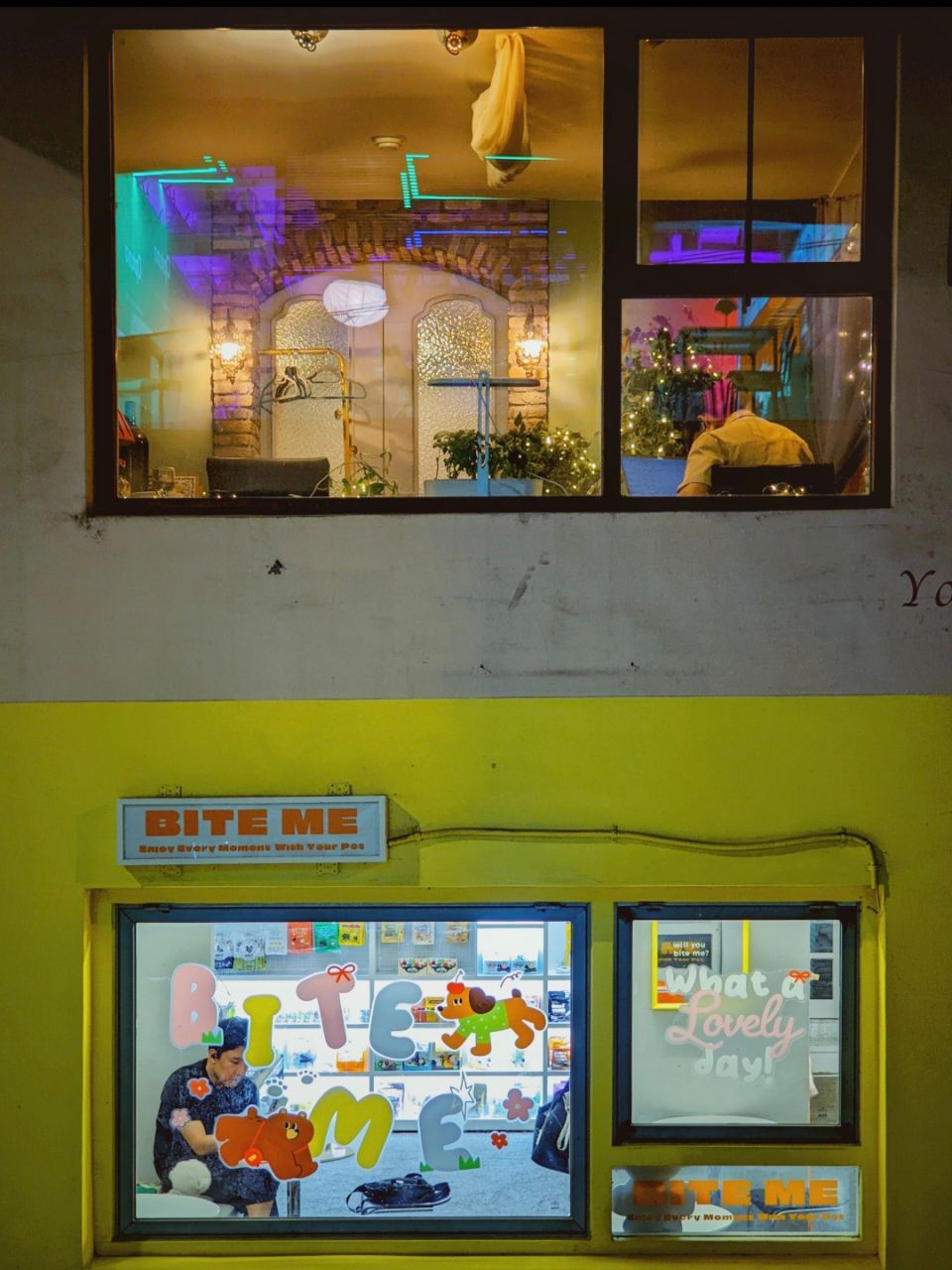 피드 이미지