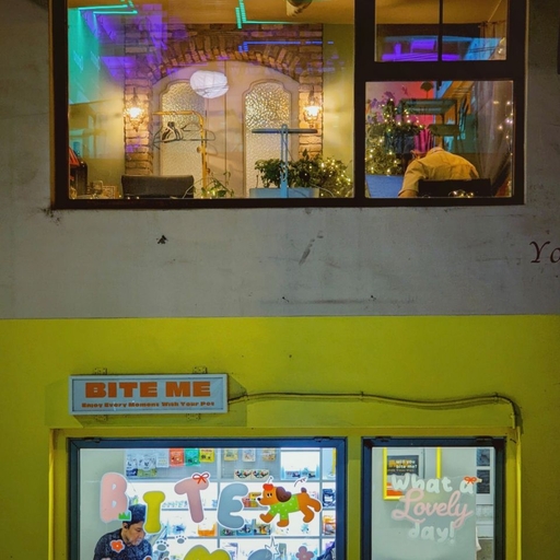 피드 이미지