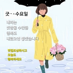 피드에 업로드 된 이미지