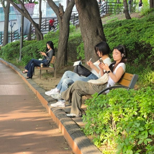 피드 이미지