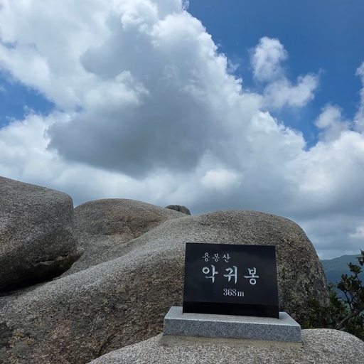 피드 이미지