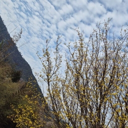 피드에 업로드 된 이미지