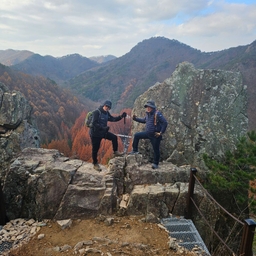 피드에 업로드 된 이미지