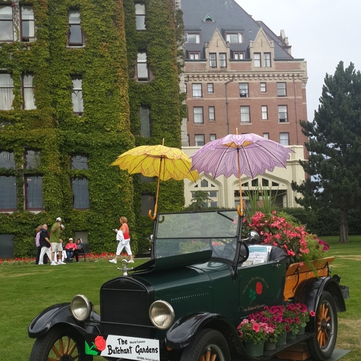 모임 대표 이미지