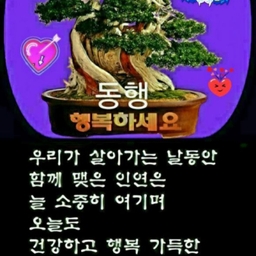 피드에 업로드 된 이미지