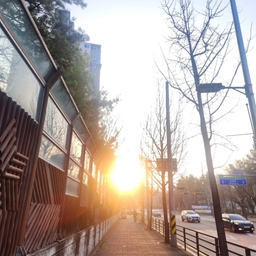 피드에 업로드 된 이미지