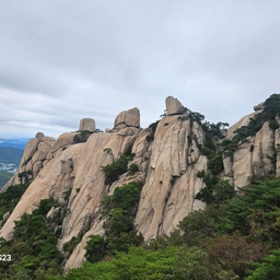 피드에 업로드 된 이미지