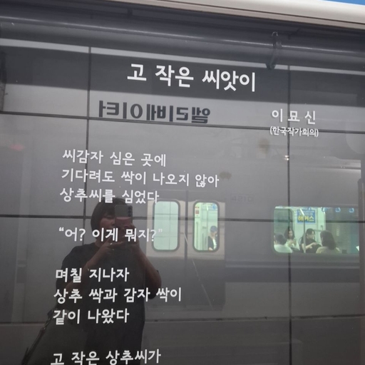 피드 이미지