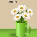 모임 이미지