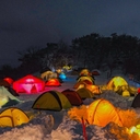 피드 작성자 프로필