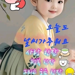 피드에 업로드 된 이미지