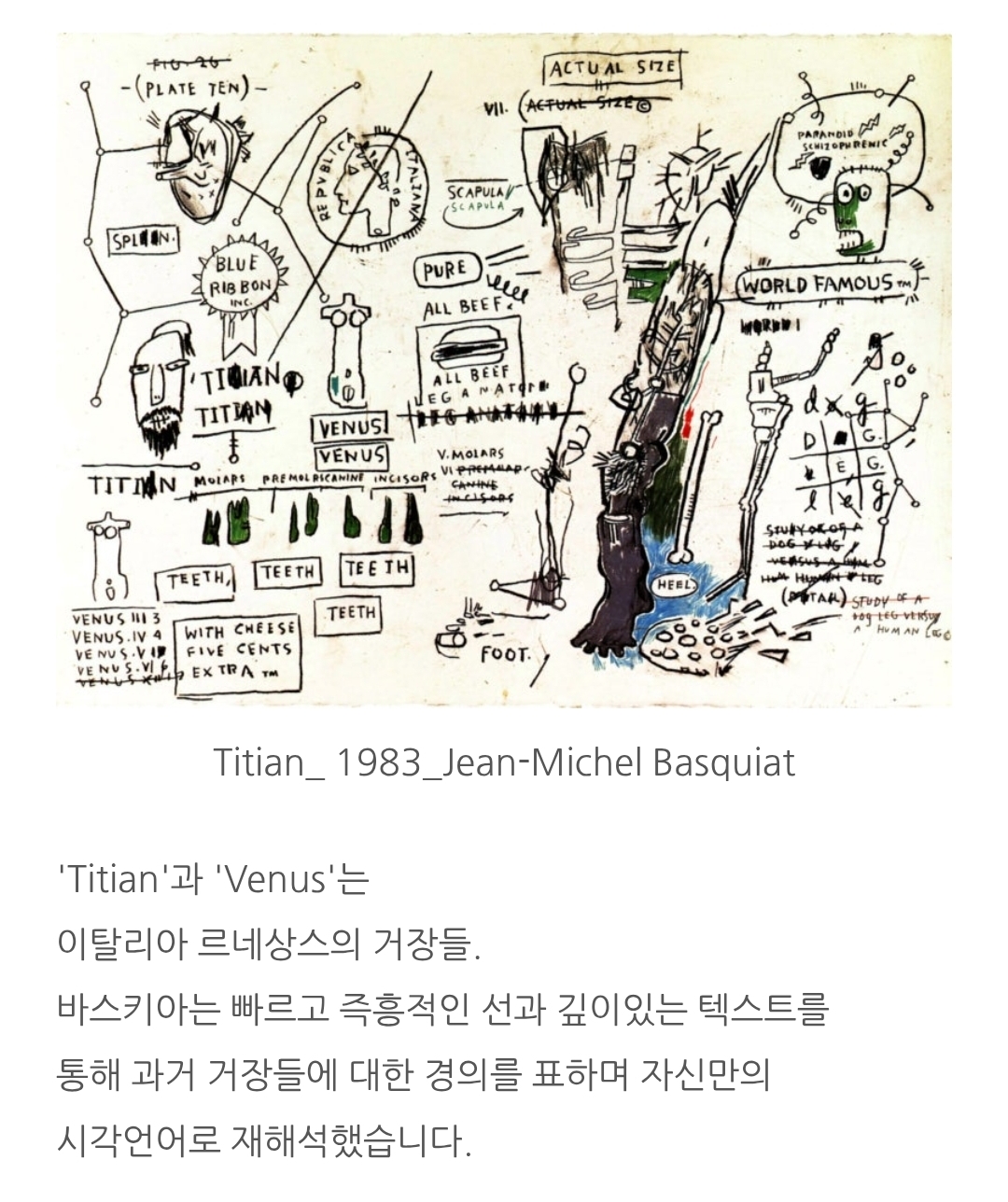 피드 이미지