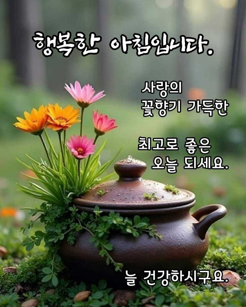 피드에 업로드 된 이미지