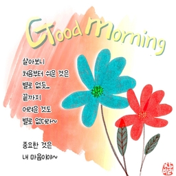 피드에 업로드 된 이미지