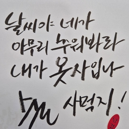 피드에 업로드 된 이미지