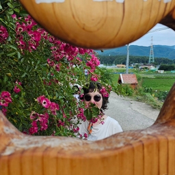 피드에 업로드 된 이미지